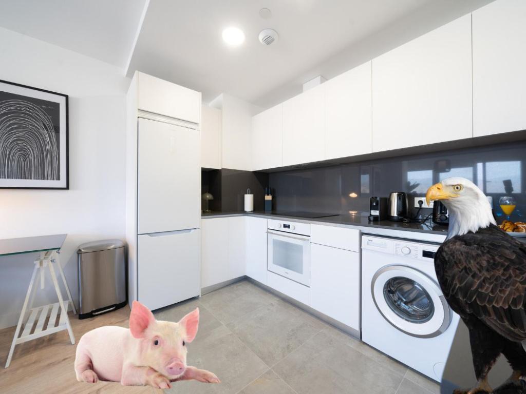 Xpce Urban 4 Malaga Skyline - Free Parking Apartamento Exterior foto
